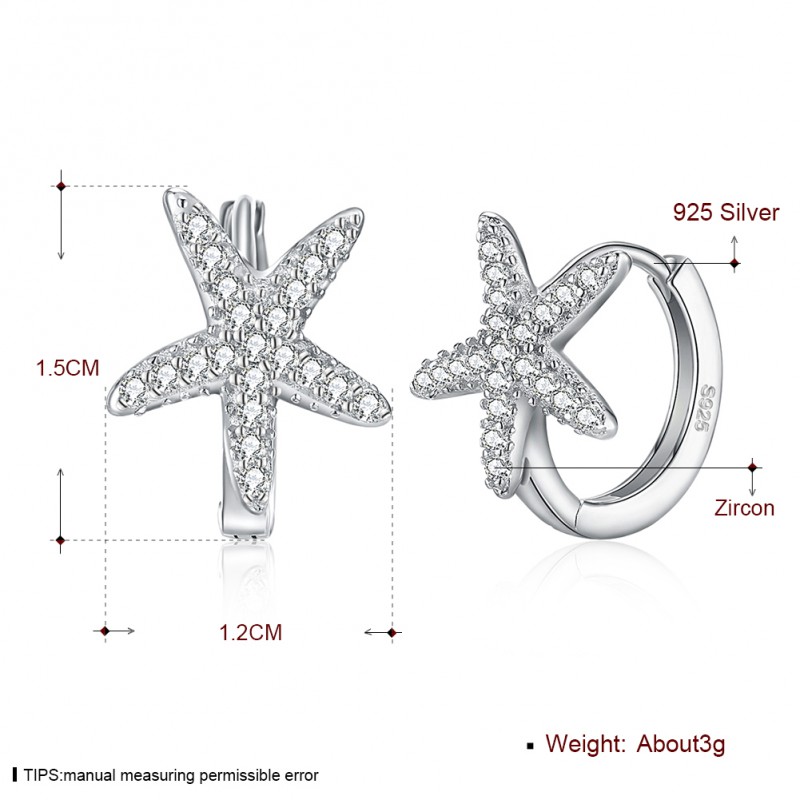 925 silver earrings